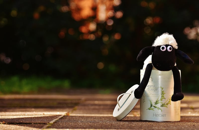 Organic Stuffed Animals